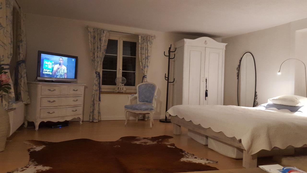 Airport Zürich Elwiras B&B Lufingen Exterior foto